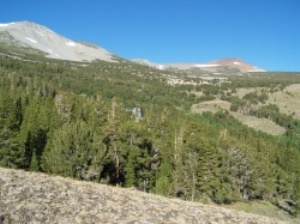 Sierra Nevada Mountains | Lee Vining